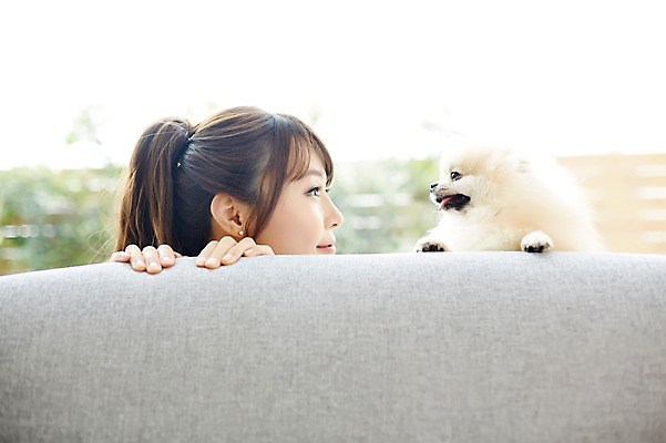 포토 JPG 한마리 우먼라이프 라이프스타일 손 여자 장난 함께함 실내 한명 사람 동양인 상반신 20대 성인 앞모습 신체부위 반려동물 소파 마주보기 한국인 강아지 소통 반려 숨기 포메라니안 청년만 성인한명만 성인만 펫팸족 국내포토 동물 1 뷰포인트 컨셉 의자 모션 인종 청년 내부 생활 개 신조어 파일형식