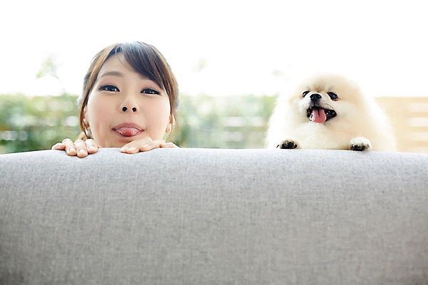 포토 JPG 한마리 우먼라이프 라이프스타일 여자 장난 함께함 실내 한명 사람 동양인 상반신 20대 성인 앞모습 반려동물 소파 한국인 강아지 메롱 소통 반려 숨기 포메라니안 여자만 여자한명만 성인여자만 청년만 청년여자만 성인한명만 청년여자한명만 성인여자한명만 성인만 펫팸족 국내포토 동물 1 뷰포인트 컨셉 의자 모션 인종 청년 내부 생활 개 신조어 파일형식