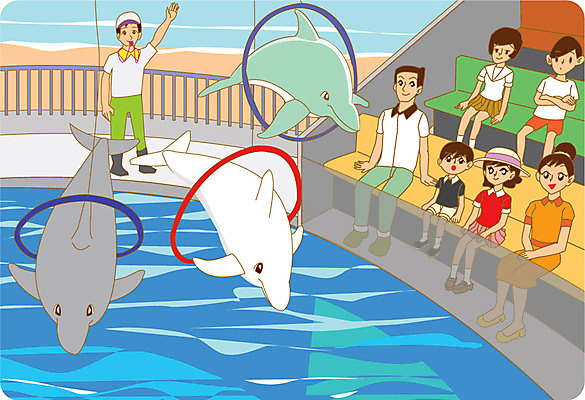 라이프스타일 여자 남자 어린이 일러스트 가족 사람 여러명 성인 고리 돌고래 쇼 수족관 관람 벨루가 국내일러스트 AI파일 다수 포유류 관계 생활 수중동물 고래 파일형식 벡터