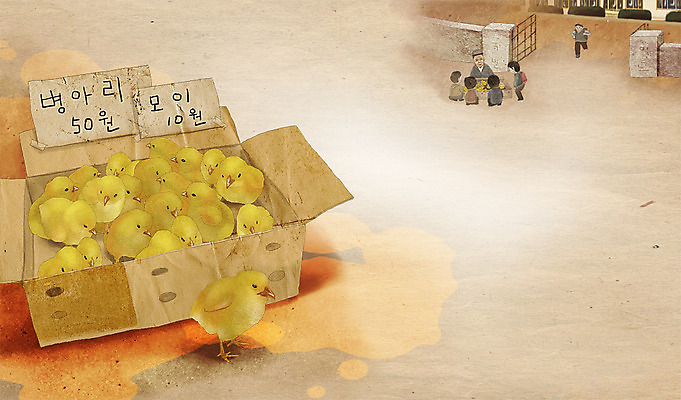 PSD 동물 남자 어린이 백그라운드 일러스트 학교 초등학교 병아리 사람 여러명 추억 상품 순수 오브젝트 복고 아저씨 과거 옛날 남자만 어린이만 소년만 국내일러스트 교육 다수 컨셉 조류 파일형식