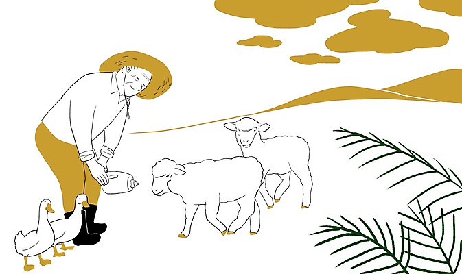 PSD 식물 구름 모자 노년 남자 일러스트 나뭇잎 오리 한명 사람 야외 실버라이프 농장 가축 양 젖병 언덕 남자만 남자한명만 성인남자만 성인한명만 성인남자한명만 노인만 성인만 노인남자만 노인남자한명만 국내일러스트 자연요소 동물 1 라이프스타일 잡화 잎 농업 포유류 조류 성인 아기용품 파일형식