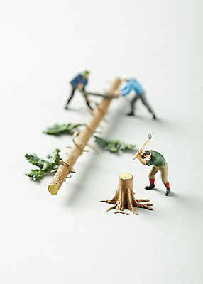 포토 JPG 스튜디오촬영 나무 식물 컨셉 실내 사람없음 아웃포커스 미니어처 피규어 도끼 톱 벌목 국내포토 촬영기법 내부 모형 공구 파일형식