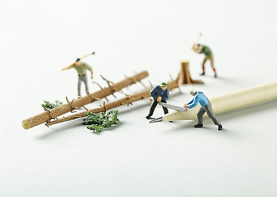 포토 JPG 스튜디오촬영 나무 식물 컨셉 실내 사람없음 아웃포커스 연필 미니어처 피규어 도끼 톱 벌목 국내포토 학용품 촬영기법 내부 필기구 모형 공구 파일형식