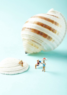 포토 JPG 스튜디오촬영 수영복 컨셉 조개 실내 해변 사람없음 미니어처 피규어 파라솔 야외의자 국내포토 옷 바다 의자 어패류 내부 모형 파일형식