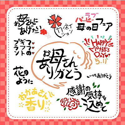 식물 문자 손글씨 꽃 일러스트 캘리그라피 엄마 선물 타이포그라피 사람없음 단어 세트 어버이날 일본어 카네이션 감사 국내일러스트 AI파일 기념일 감정 가족 파일형식 벡터