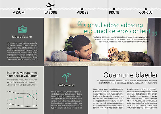 PSD 서양인 외국인 템플릿 편집 표지디자인 북디자인 출판디자인 남자 내지 리플렛 여행 북커버 3단접지 휴가 비행기 한명 사람 팜플렛 성인 야자수 고양이 배낭여행 반려 남자만 남자한명만 성인남자만 성인만 이미지템플릿 나무 1 포유류 항공교통 대중교통 인종 반려동물 파일형식