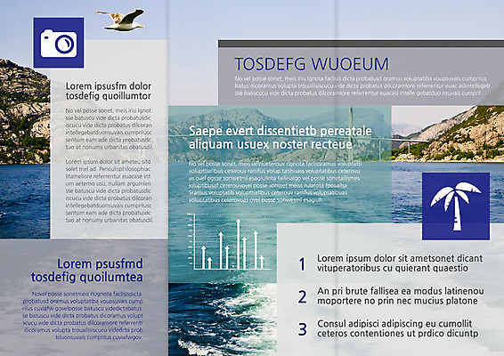 PSD 식물 템플릿 편집 표지디자인 북디자인 출판디자인 내지 리플렛 바다 섬 여행 북커버 3단접지 갈매기 휴가 팜플렛 사람없음 야자수 이미지템플릿 나무 조류 파일형식
