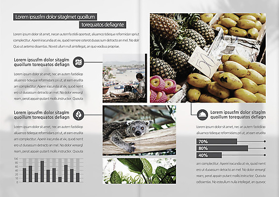 PSD 동물 템플릿 편집 표지디자인 북디자인 출판디자인 계절 여자 내지 리플렛 여행 북커버 과일 휴가 한명 사람 팜플렛 성인 여름 파인애플 열대과일 망고 나무늘보 여자만 여자한명만 성인여자만 성인만 이미지템플릿 1 파일형식