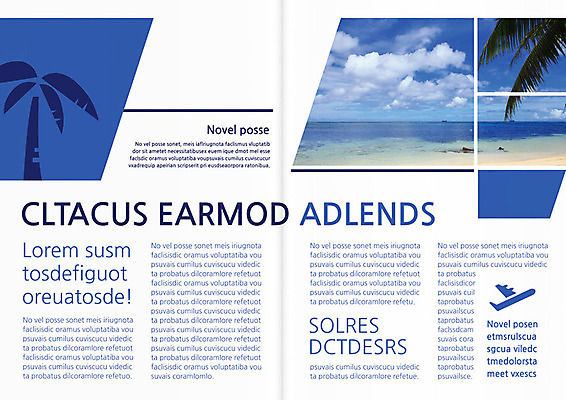 PSD 식물 템플릿 편집 표지디자인 북디자인 출판디자인 계절 내지 리플렛 바다 여행 북커버 휴가 비행기 팜플렛 해변 사람없음 여름 야자수 이미지템플릿 나무 항공교통 대중교통 파일형식