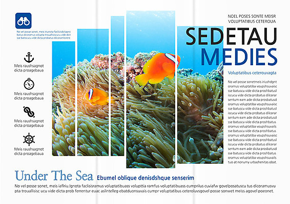 PSD 템플릿 편집 표지디자인 북디자인 출판디자인 계절 내지 리플렛 여행 북커버 3단접지 휴가 어류 팜플렛 사람없음 여름 바닷속 산호 열대어 이미지템플릿 수중 수중동물 자포동물 파일형식