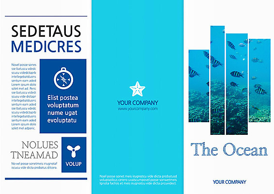 PSD 템플릿 편집 표지디자인 북디자인 출판디자인 계절 표지 리플렛 여행 북커버 3단접지 휴가 불가사리 어류 팜플렛 사람없음 여름 바닷속 열대어 이미지템플릿 극피동물 수중 수중동물 파일형식