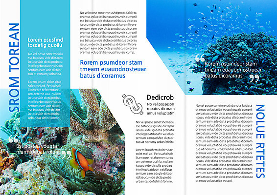 PSD 템플릿 편집 표지디자인 북디자인 출판디자인 계절 내지 리플렛 여행 북커버 3단접지 휴가 어류 팜플렛 사람없음 여름 바닷속 산호 열대어 이미지템플릿 수중 수중동물 자포동물 파일형식