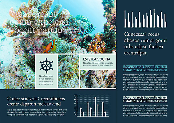 PSD 템플릿 편집 표지디자인 북디자인 출판디자인 계절 내지 리플렛 여행 북커버 3단접지 휴가 어류 팜플렛 사람없음 여름 바닷속 산호 열대어 이미지템플릿 수중 수중동물 자포동물 파일형식