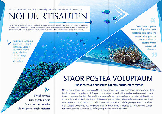 PSD 템플릿 편집 표지디자인 북디자인 출판디자인 계절 내지 리플렛 여행 북커버 3단접지 휴가 어류 팜플렛 사람없음 여름 바닷속 산호 열대어 이미지템플릿 수중 수중동물 자포동물 파일형식