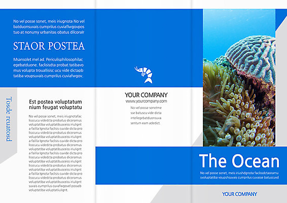 PSD 템플릿 편집 표지디자인 북디자인 출판디자인 계절 표지 리플렛 여행 북커버 3단접지 휴가 새우 팜플렛 사람없음 여름 바닷속 산호 이미지템플릿 갑각류 수중 자포동물 파일형식