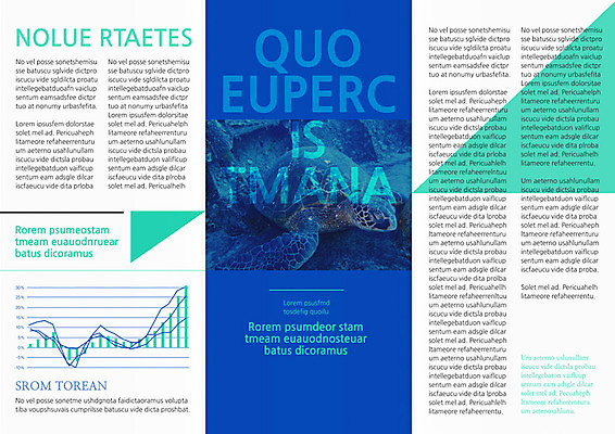 PSD 동물 템플릿 편집 표지디자인 북디자인 출판디자인 계절 내지 리플렛 여행 북커버 3단접지 휴가 팜플렛 사람없음 여름 거북이 이미지템플릿 파충류 파일형식