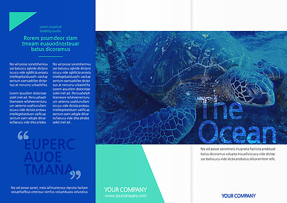 PSD 동물 템플릿 편집 표지디자인 북디자인 출판디자인 계절 표지 리플렛 여행 북커버 3단접지 휴가 팜플렛 사람없음 여름 바닷속 거북이 이미지템플릿 파충류 수중 파일형식