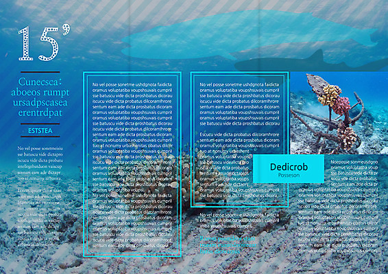 PSD 템플릿 편집 표지디자인 북디자인 출판디자인 계절 내지 리플렛 여행 북커버 3단접지 휴가 팜플렛 사람없음 여름 바닷속 산호 고래 이미지템플릿 포유류 수중 수중동물 자포동물 파일형식