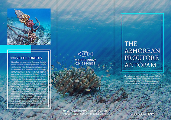 PSD 템플릿 편집 표지디자인 북디자인 출판디자인 계절 표지 리플렛 여행 북커버 3단접지 휴가 어류 팜플렛 사람없음 여름 바닷속 산호 열대어 이미지템플릿 수중 수중동물 자포동물 파일형식