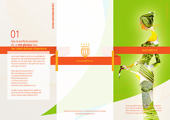 PSD 템플릿 편집 표지디자인 북디자인 여자 표지 실루엣 리플렛 다이어트 채소 북커버 3단접지 줄자 건강 한명 사람 팜플렛 성인 운동 브로콜리 여자만 여자한명만 성인여자만 성인만 이미지템플릿 1 촬영기법 자 파일형식