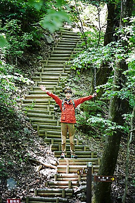포토 JPG 주간 전신 나무 식물 라이프스타일 남자 여유 맨라이프 배낭 모션 자연 산 한국 한명 서기 사람 동양인 20대 성인 야외 계단 등산 한국인 등산복 상쾌 경기도 양평 유명산 남자만 남자한명만 성인남자만 청년만 청년남자만 청년남자한명만 성인한명만 성인남자한명만 성인만 국내포토 자연요소 1 옷 감정 아시아 가방 인종 청년 생활 트래킹 생태계 파일형식