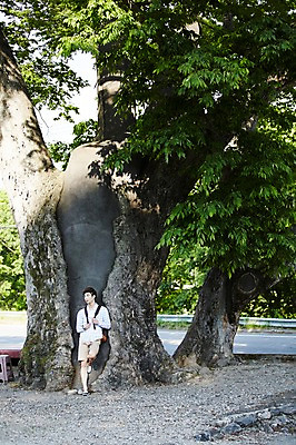 포토 JPG 주간 전신 나무 식물 라이프스타일 남자 여유 맨라이프 여행 배낭 모션 휴식 한국 한명 서기 사람 동양인 20대 성인 야외 앞모습 기댐 활발 한국인 농촌 시골 즐거움 배낭여행 활기 경기도 양평 유명산 남자만 남자한명만 성인남자만 청년만 청년남자만 청년남자한명만 성인한명만 성인남자한명만 성인만 국내포토 자연요소 1 감정 아시아 뷰포인트 컨셉 가방 산 인종 청년 생활 파일형식