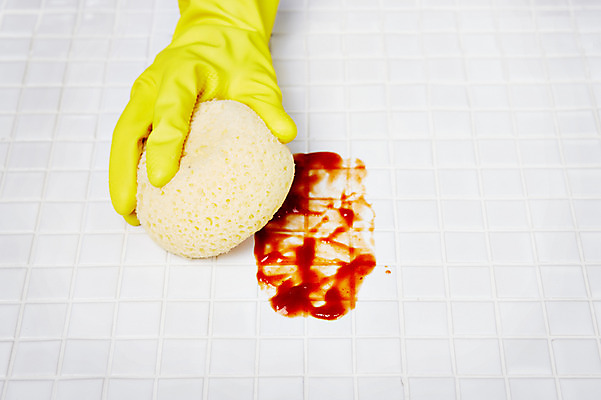 포토 JPG 스튜디오촬영 손 건강 한명 사람 신체부위 청결 욕실 위생 케첩 청소도구 청소 타일 고무장갑 수세미 위생관리 국내포토 1 장갑 실내 관리 도구 소스_음식 고무 파일형식