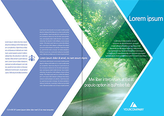 나무 식물 템플릿 편집 표지디자인 북디자인 출판디자인 표지 화살표 도로 길 백그라운드 북커버 자연 팜플렛 사람없음 새싹 표지판 숲 가로수 이미지템플릿 AI파일 교통시설 알림판 생태계 파일형식 벡터