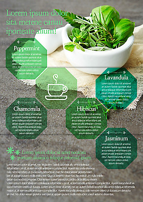 템플릿 편집 표지디자인 북디자인 출판디자인 내지 음료 음식 리플렛 백그라운드 잎 북커버 3단접지 자동차 팜플렛 사람없음 요식업 차 찻잔 천 허브 절구 허브차 이미지템플릿 AI파일 식물 산업 육상교통 잔 차_음료 도구 직물 파일형식 벡터