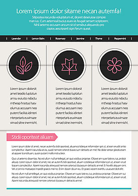 식물 템플릿 편집 표지디자인 북디자인 출판디자인 내지 리플렛 백그라운드 잎 북커버 3단접지 나뭇잎 팜플렛 사람없음 요식업 허브 식용식물 이미지템플릿 AI파일 산업 파일형식 벡터