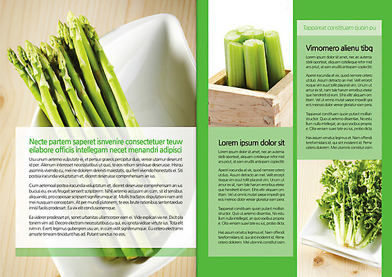템플릿 편집 그릇 접시 표지디자인 북디자인 출판디자인 내지 음식 백그라운드 채소 북커버 식재료 팜플렛 사람없음 아스파라거스 샐러리 되 치커리 이미지템플릿 AI파일 식기 파일형식 벡터
