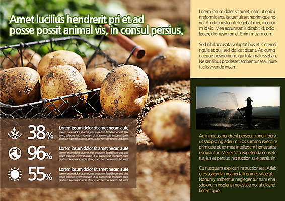 템플릿 편집 표지디자인 북디자인 웰빙 출판디자인 실루엣 내지 음식 리플렛 백그라운드 채소 북커버 3단접지 감자 한명 사람 팜플렛 농작물 바구니 요식업 농사 흙 퍼센트 농부 이미지템플릿 AI파일 직업 1 산업 농업 촬영기법 특수기호 파일형식 벡터