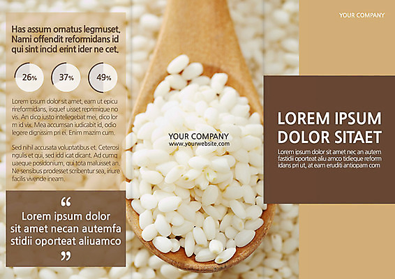 템플릿 편집 표지디자인 북디자인 출판디자인 표지 음식 리플렛 백그라운드 북커버 3단접지 그래프 곡류 팜플렛 사람없음 요식업 숟가락 쌀 퍼센트 이미지템플릿 AI파일 산업 수저 특수기호 파일형식 벡터