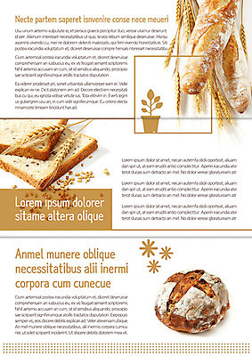 식물 템플릿 편집 표지디자인 북디자인 출판디자인 내지 화분 음식 빵 리플렛 백그라운드 북커버 3단접지 곡류 팜플렛 사람없음 요식업 빵집 바게트 밀 식빵 이삭 이미지템플릿 AI파일 산업 상점 파일형식 벡터