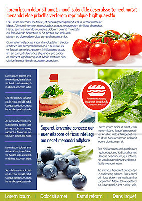 템플릿 편집 접시 표지디자인 북디자인 출판디자인 내지 음식 빵 리플렛 백그라운드 채소 북커버 과일 3단접지 방울토마토 샌드위치 팜플렛 사람없음 요식업 깃발 블루베리 이미지템플릿 AI파일 식기 산업 토마토 파일형식 벡터