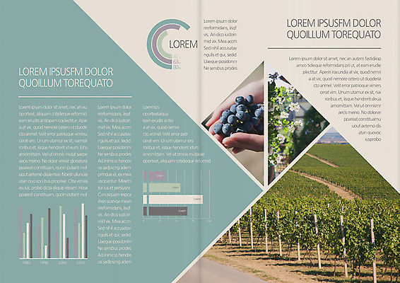 템플릿 편집 표지디자인 북디자인 손 출판디자인 열매 내지 음식 리플렛 백그라운드 북커버 과일 3단접지 포도 그래프 팜플렛 신체부위 포도밭 포도나무 이미지템플릿 AI파일 식물 밭 사람 과일나무 파일형식 벡터