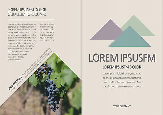 식물 템플릿 편집 표지디자인 북디자인 출판디자인 열매 표지 음식 리플렛 백그라운드 북커버 과일 3단접지 포도 나뭇잎 팜플렛 사람없음 포도나무 이미지템플릿 AI파일 잎 과일나무 파일형식 벡터