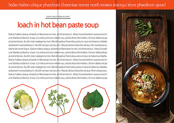 템플릿 편집 표지디자인 북디자인 웰빙 출판디자인 내지 한식 음식 리플렛 백그라운드 채소 북커버 3단접지 팜플렛 사람없음 요식업 배추 뚝배기 탕 깻잎 보양식 쑥갓 건강식품 이미지템플릿 AI파일 산업 건강 몸보신 파일형식 벡터