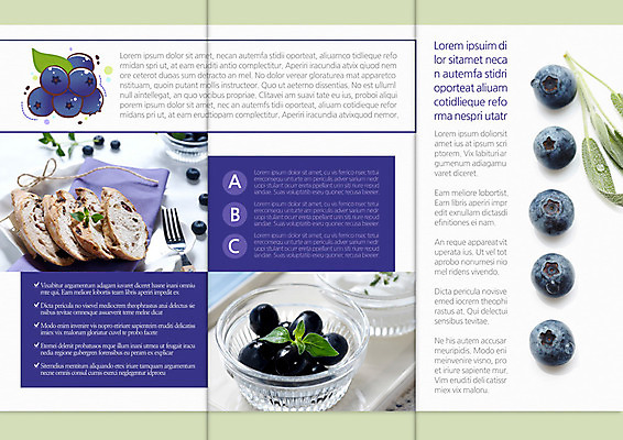 템플릿 편집 그릇 접시 표지디자인 북디자인 출판디자인 내지 음식 빵 리플렛 백그라운드 포크 잎 북커버 과일 3단접지 디저트 팜플렛 사람없음 요식업 바게트 허브 블루베리 이미지템플릿 AI파일 식물 식기 산업 파일형식 벡터