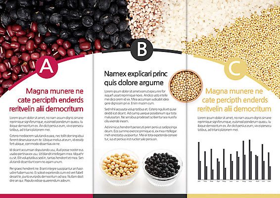 템플릿 편집 그릇 표지디자인 북디자인 웰빙 출판디자인 내지 음식 리플렛 백그라운드 북커버 3단접지 그래프 콩 곡류 팜플렛 사람없음 요식업 쌀 잡곡 팥 조 이미지템플릿 AI파일 식기 산업 파일형식 벡터