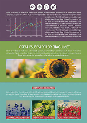 식물 동물 템플릿 편집 표지디자인 북디자인 출판디자인 꽃 내지 리플렛 곤충 백그라운드 북커버 3단접지 자연 그래프 해바라기 팜플렛 사람없음 메뚜기 이미지템플릿 AI파일 생태계 파일형식 벡터