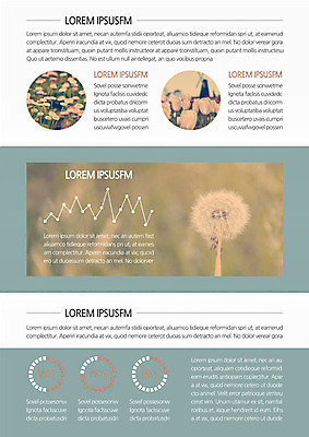식물 템플릿 편집 표지디자인 북디자인 출판디자인 꽃 내지 리플렛 백그라운드 북커버 3단접지 자연 그래프 팜플렛 사람없음 튤립 퍼센트 민들레 민들레홀씨 이미지템플릿 AI파일 특수기호 생태계 파일형식 벡터