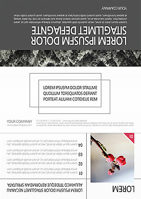 나무 식물 템플릿 편집 표지디자인 북디자인 출판디자인 표지 꽃 리플렛 백그라운드 북커버 3단접지 자연 팜플렛 사람없음 나뭇가지 숲 이미지템플릿 AI파일 생태계 파일형식 벡터