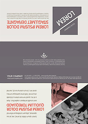 식물 템플릿 편집 표지디자인 북디자인 출판디자인 표지 리플렛 백그라운드 북커버 3단접지 자연 나뭇잎 팜플렛 사람없음 이미지템플릿 AI파일 잎 생태계 파일형식 벡터