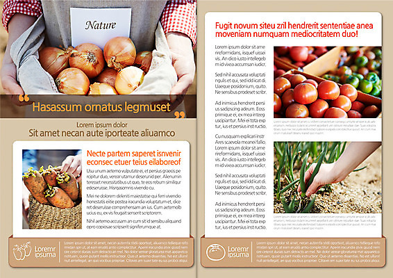 템플릿 편집 표지디자인 북디자인 손 웰빙 출판디자인 내지 음식 백그라운드 토마토 채소 북커버 자연 양파 건강 팜플렛 신체부위 농작물 바구니 당근 유기농 파 이미지템플릿 AI파일 농업 뿌리채소 사람 생태계 파일형식 벡터