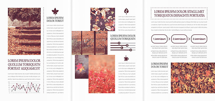 나무 식물 템플릿 편집 표지디자인 북디자인 출판디자인 내지 커피 리플렛 백그라운드 단풍 낙엽 북커버 3단접지 자연 그래프 나뭇잎 팜플렛 사람없음 가을 이미지템플릿 AI파일 계절 음료 잎 생태계 파일형식 벡터