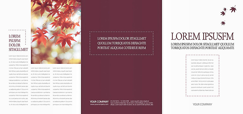 식물 템플릿 편집 표지디자인 북디자인 출판디자인 계절 표지 리플렛 백그라운드 단풍 북커버 3단접지 자연 나뭇잎 팜플렛 사람없음 가을 이미지템플릿 AI파일 잎 생태계 파일형식 벡터