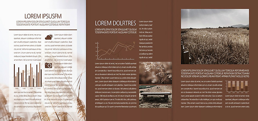 식물 구름 템플릿 편집 표지디자인 북디자인 출판디자인 계절 내지 리플렛 백그라운드 북커버 벤치 의자 3단접지 자연 그래프 갈대 팜플렛 사람없음 카메라 가을 풀 갈대밭 이미지템플릿 AI파일 자연요소 가구 전자제품 생태계 파일형식 벡터 갈대_식물