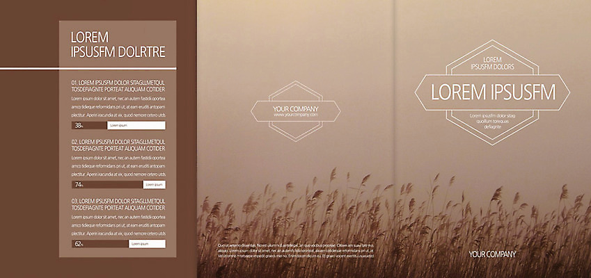 식물 템플릿 편집 표지디자인 북디자인 출판디자인 계절 표지 리플렛 백그라운드 북커버 3단접지 자연 그래프 갈대 팜플렛 사람없음 가을 풀 갈대밭 이미지템플릿 AI파일 생태계 파일형식 벡터 갈대_식물