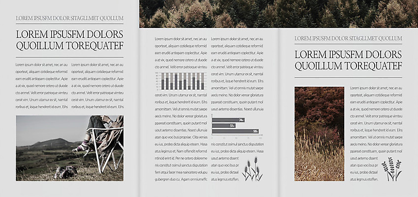 나무 식물 템플릿 편집 표지디자인 북디자인 출판디자인 내지 리플렛 백그라운드 북커버 의자 3단접지 자연 그래프 휴식 한명 사람 앉기 팜플렛 풀 숲 이미지템플릿 AI파일 1 가구 컨셉 모션 생태계 파일형식 벡터
